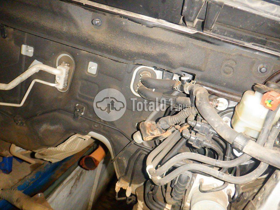 Фото Lexus NX 176