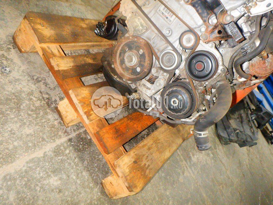 Фото Lexus NX 242