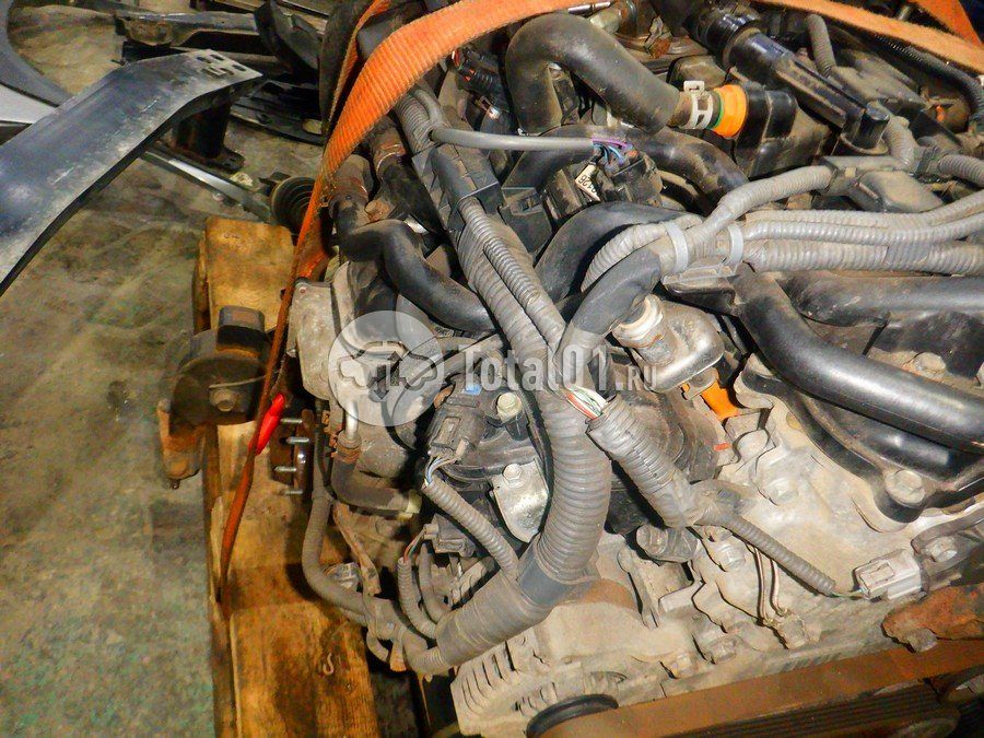 Фото Lexus NX 248