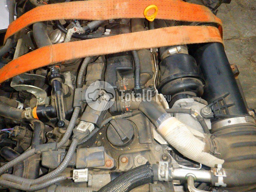 Фото Lexus NX 252