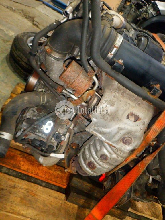 Фото Lexus NX 254