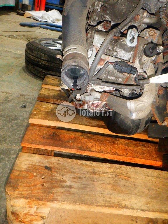 Фото Lexus NX 256