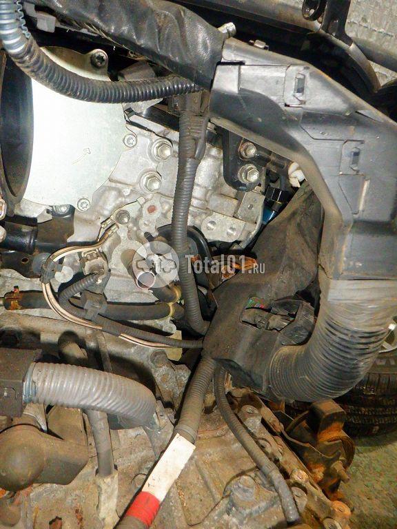 Фото Lexus NX 276