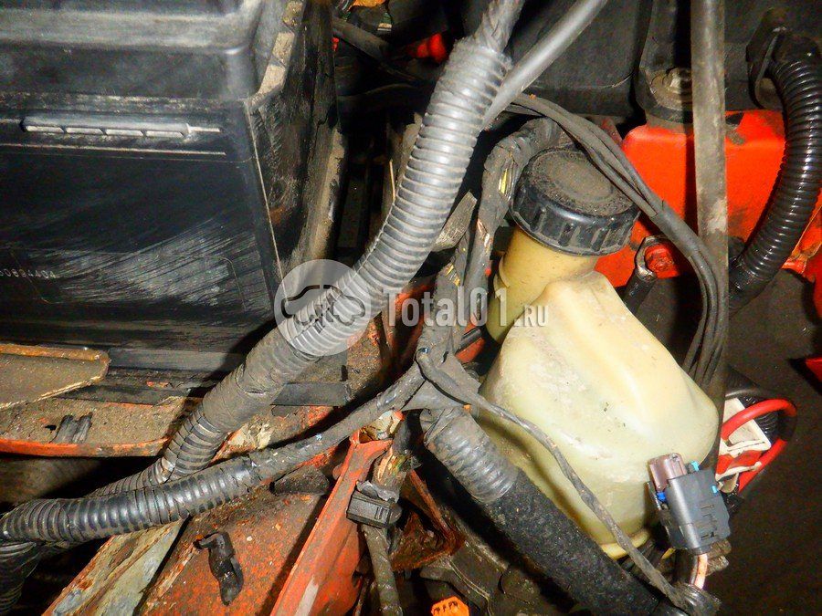 Фото Renault Kaptur 206