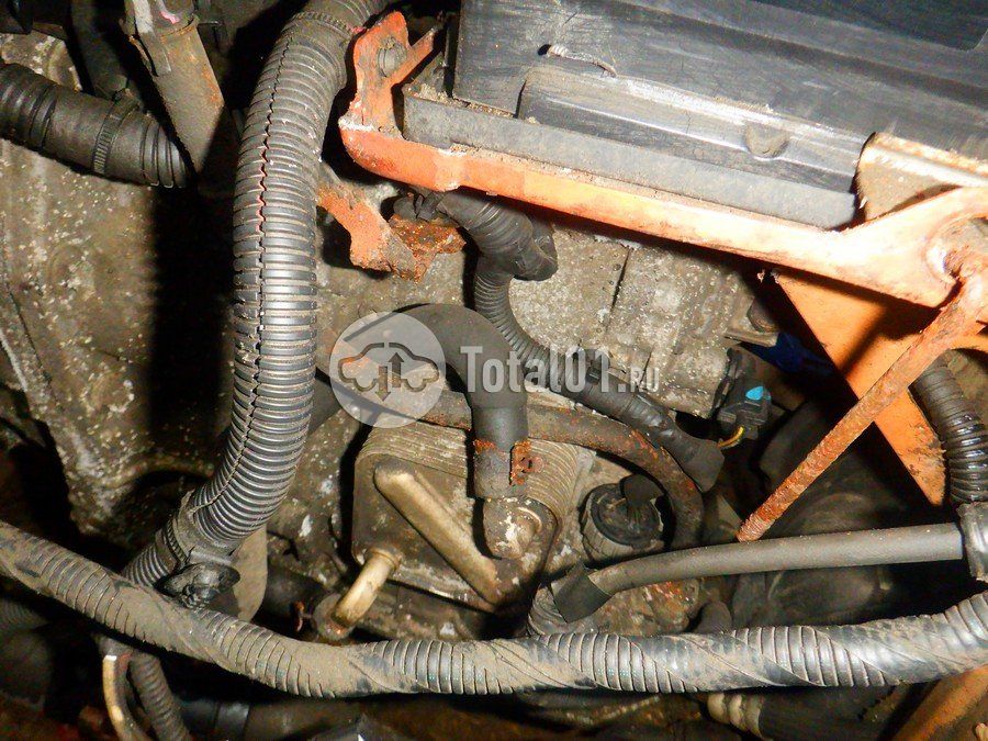 Фото Renault Kaptur 212