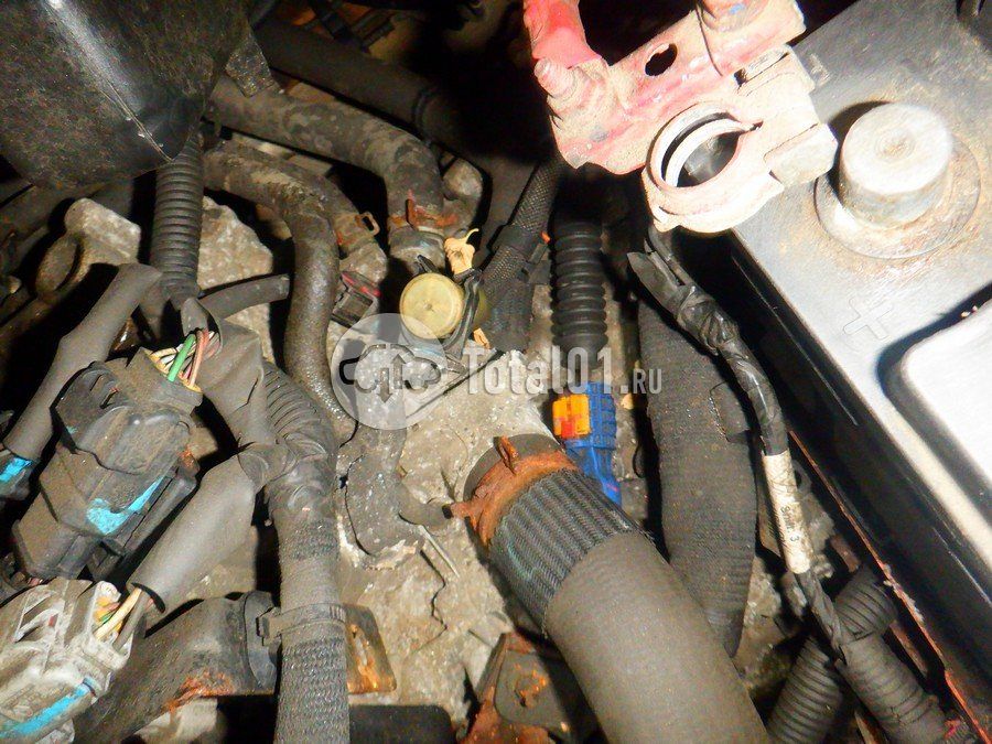 Фото Renault Kaptur 216