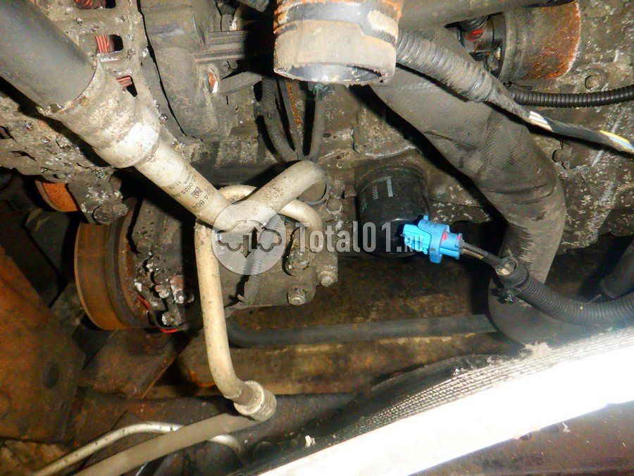 Фото Renault Kaptur 258