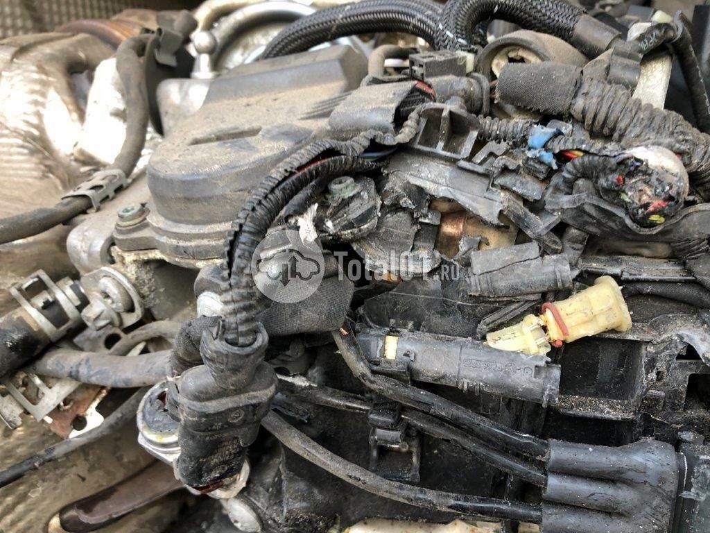 Фото Mercedes-Benz V-класс 262