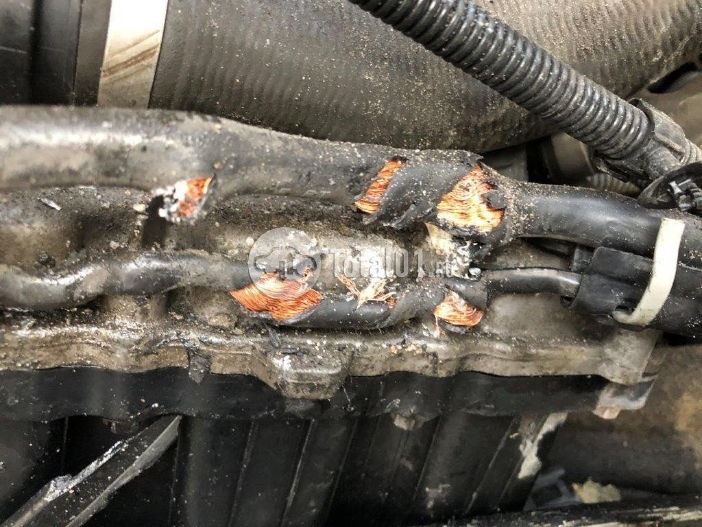 Фото Mercedes-Benz V-класс 320