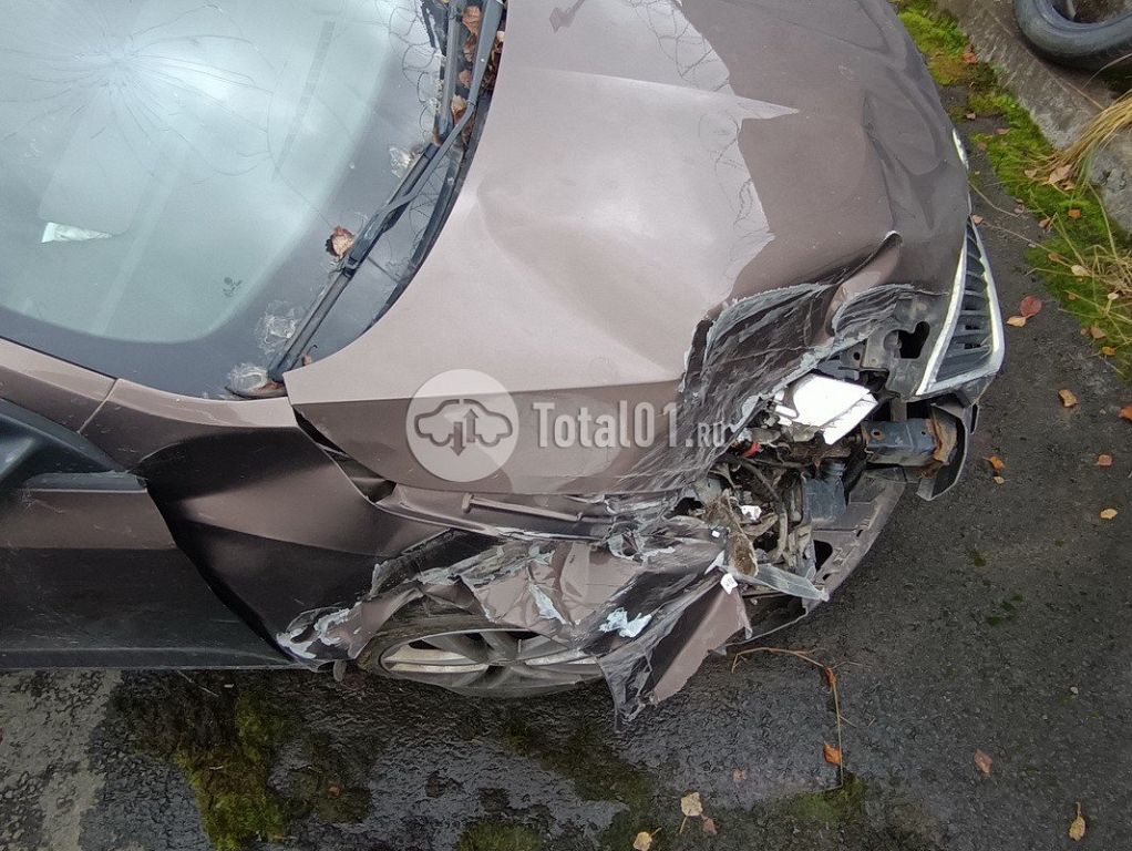 Фото Skoda Rapid 64