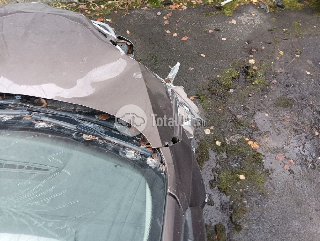 Фото Skoda Rapid 66