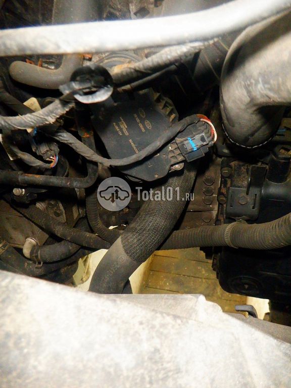 Фото KIA Sorento 202