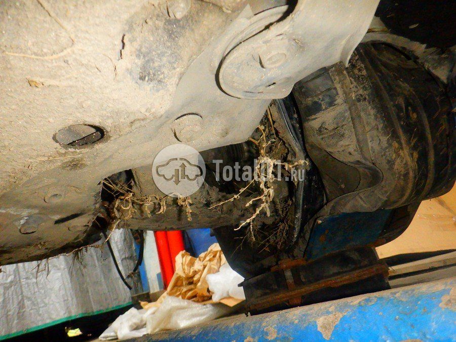 Фото KIA Sorento 284