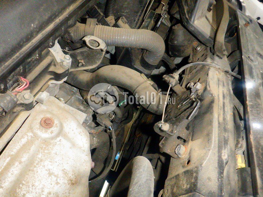 Фото Nissan X-Trail 312