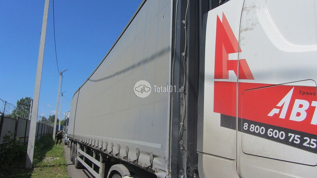 Фото Orthaus V3 20