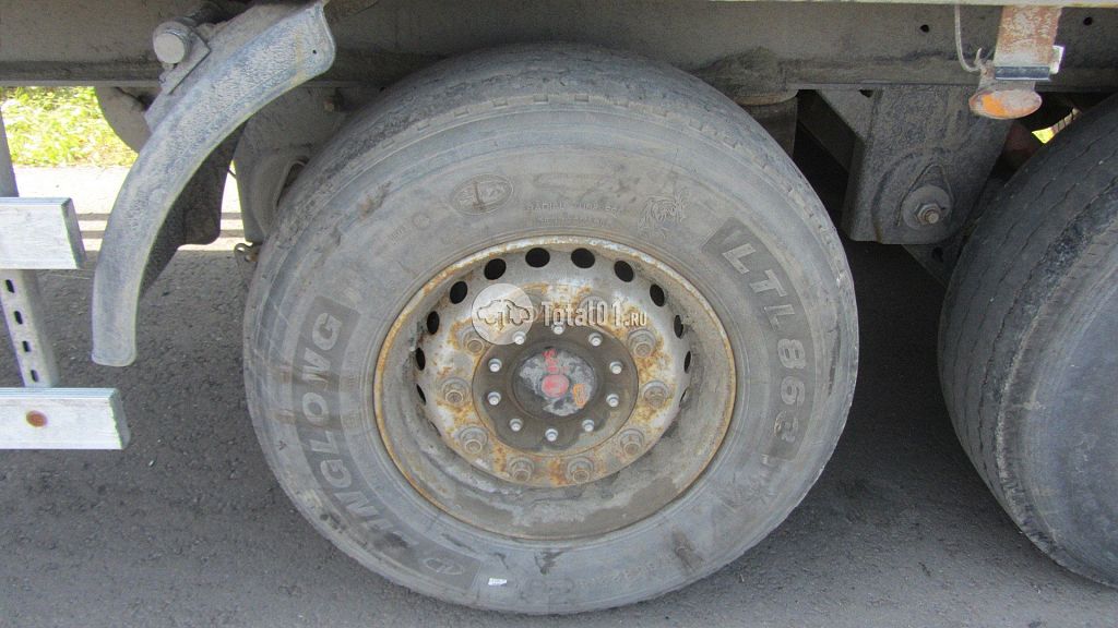 Фото Orthaus V3 32