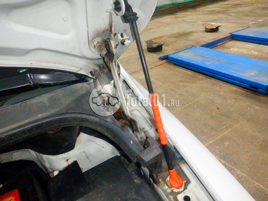 Фото Volkswagen Golf Plus 174