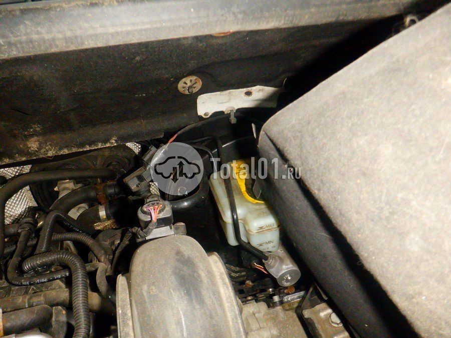 Фото Volkswagen Golf Plus 188