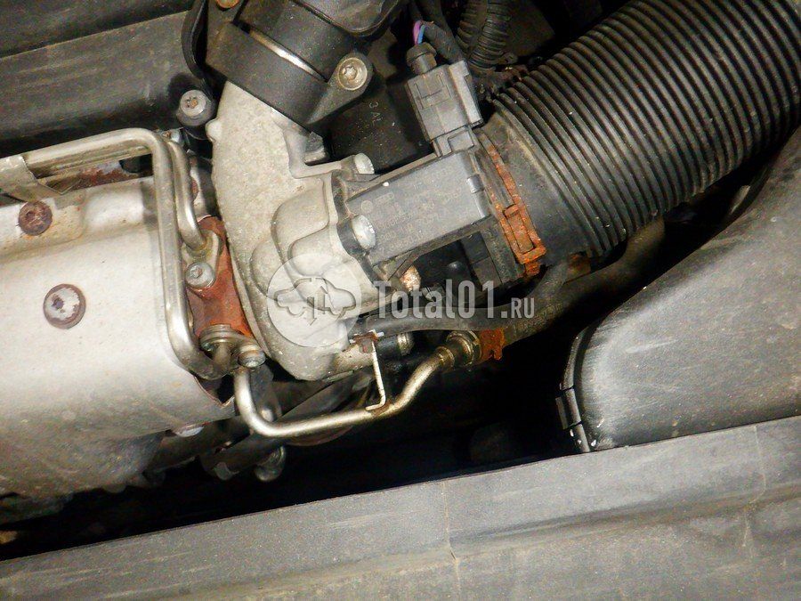 Фото Volkswagen Golf Plus 194