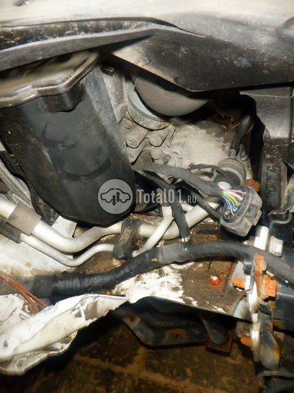 Фото Volkswagen Golf Plus 206