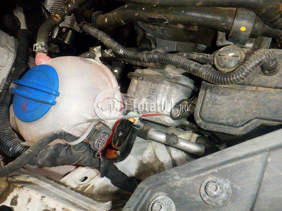 Фото Volkswagen Golf Plus 212