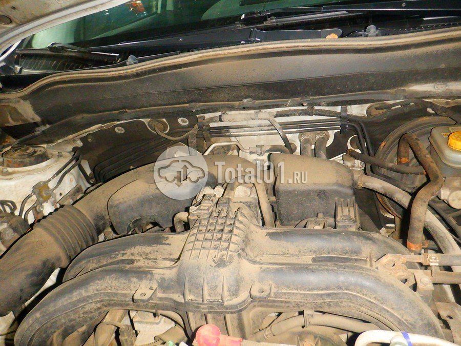 Фото Subaru Forester 202