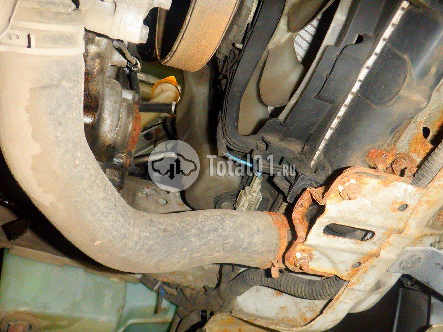 Фото Subaru Forester 312