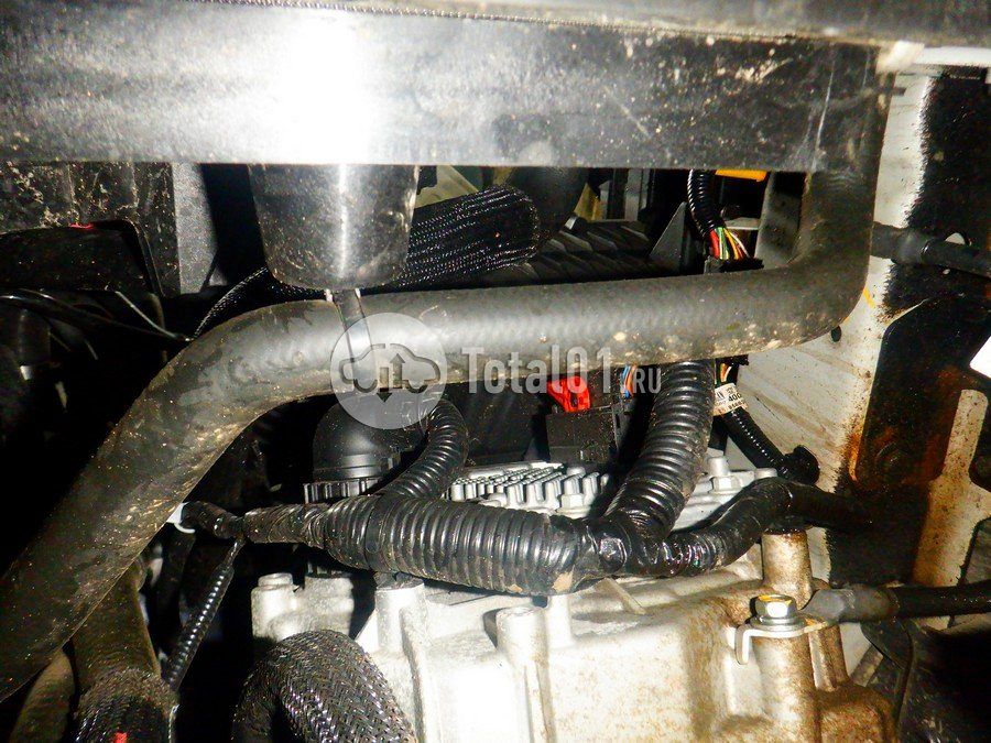 Фото Changan CS55PLUS 310