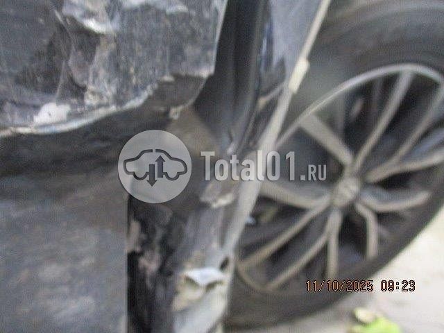 Фото Volkswagen Tiguan 282