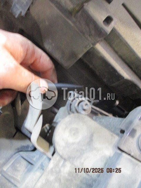 Фото Volkswagen Tiguan 308