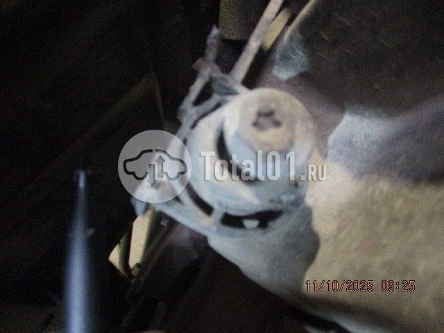 Фото Volkswagen Tiguan 310