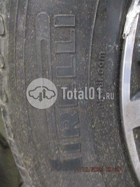 Фото Volkswagen Tiguan 384