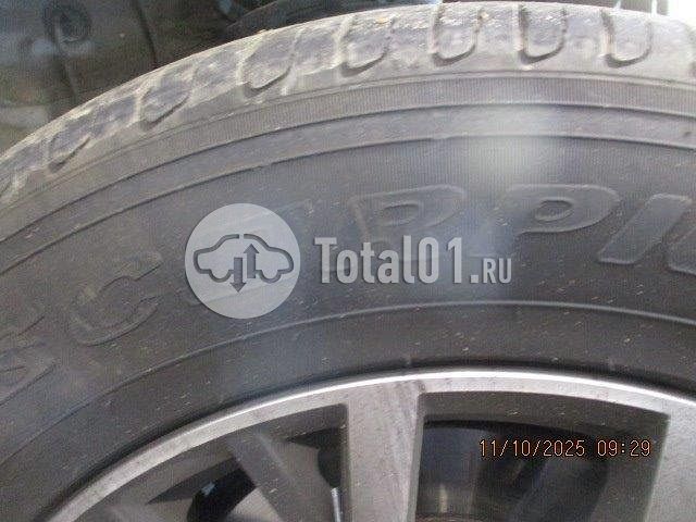 Фото Volkswagen Tiguan 386