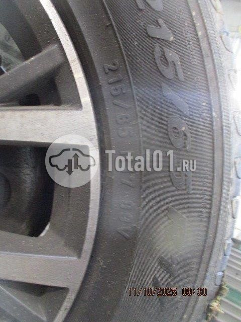 Фото Volkswagen Tiguan 390