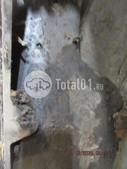 Фото Volkswagen Tiguan 442