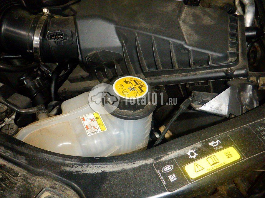 Фото Land Rover Range Rover 244