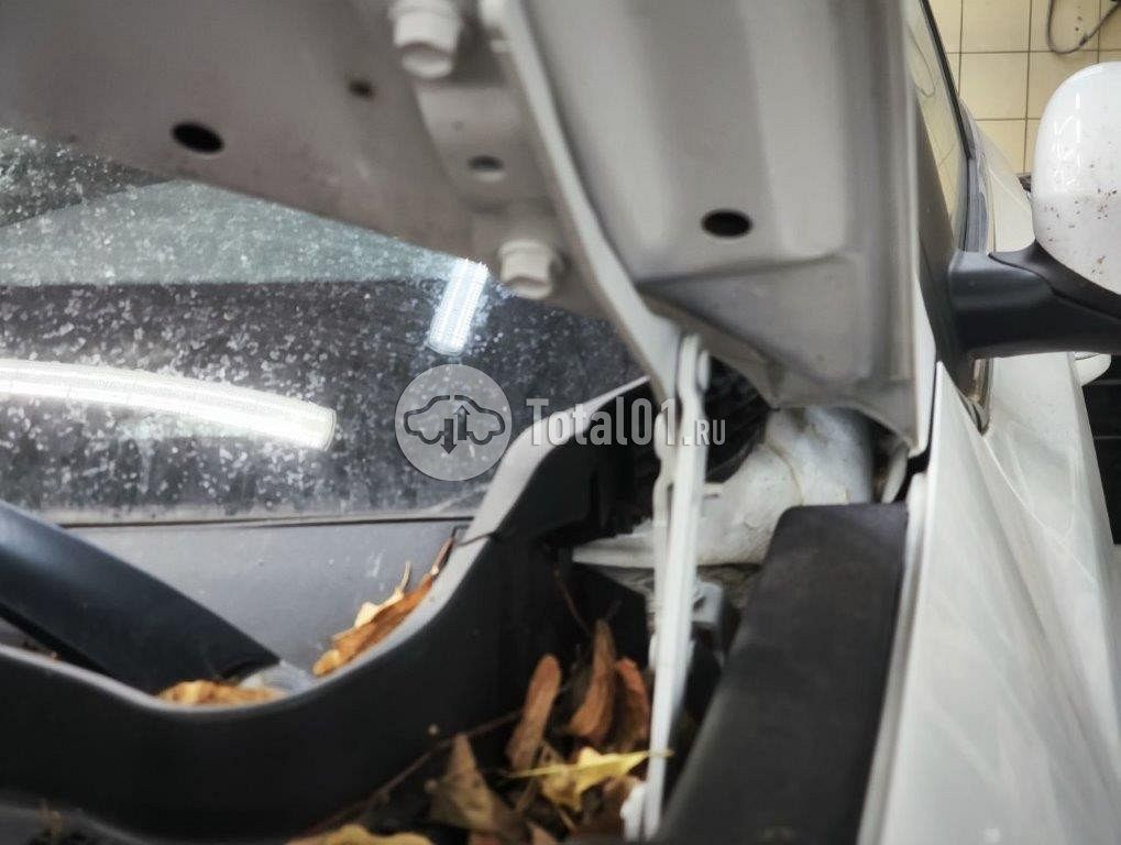 Фото KIA Sportage 202