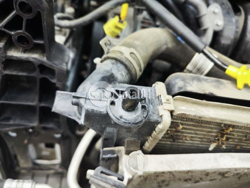 Фото KIA Sportage 392