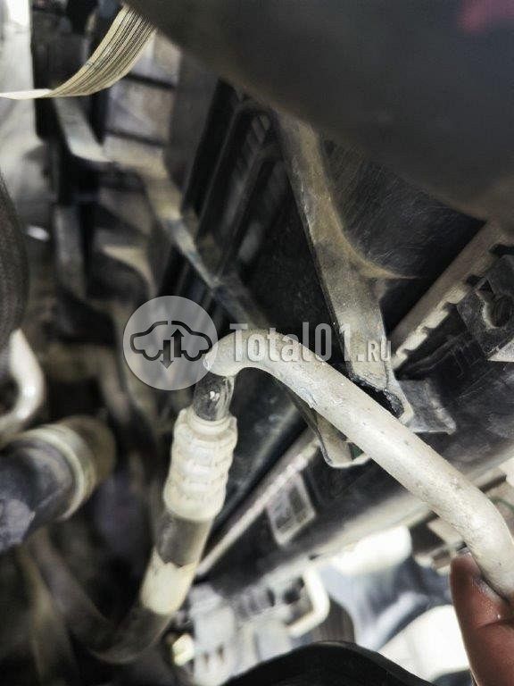 Фото KIA Sportage 456