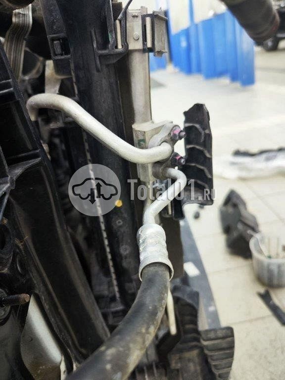 Фото KIA Sportage 462