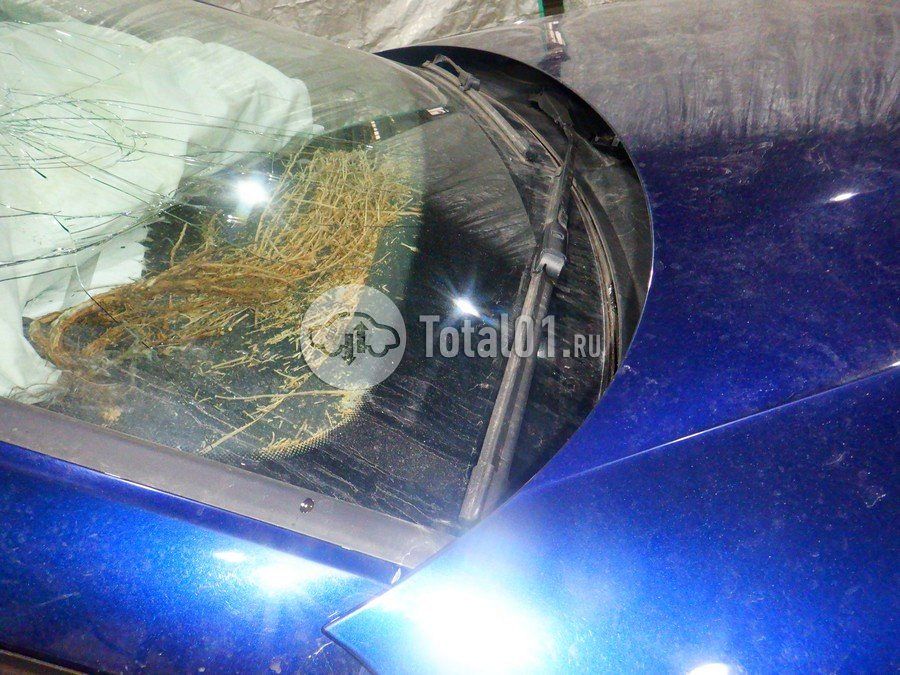 Фото Audi A4 112