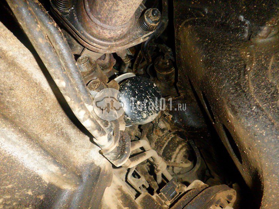 Фото Toyota Land Cruiser Prado 290