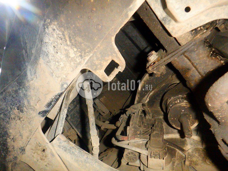 Фото Toyota Land Cruiser Prado 300