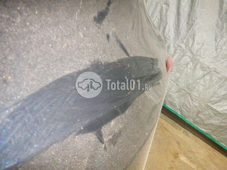 Фото Hongqi H5 168