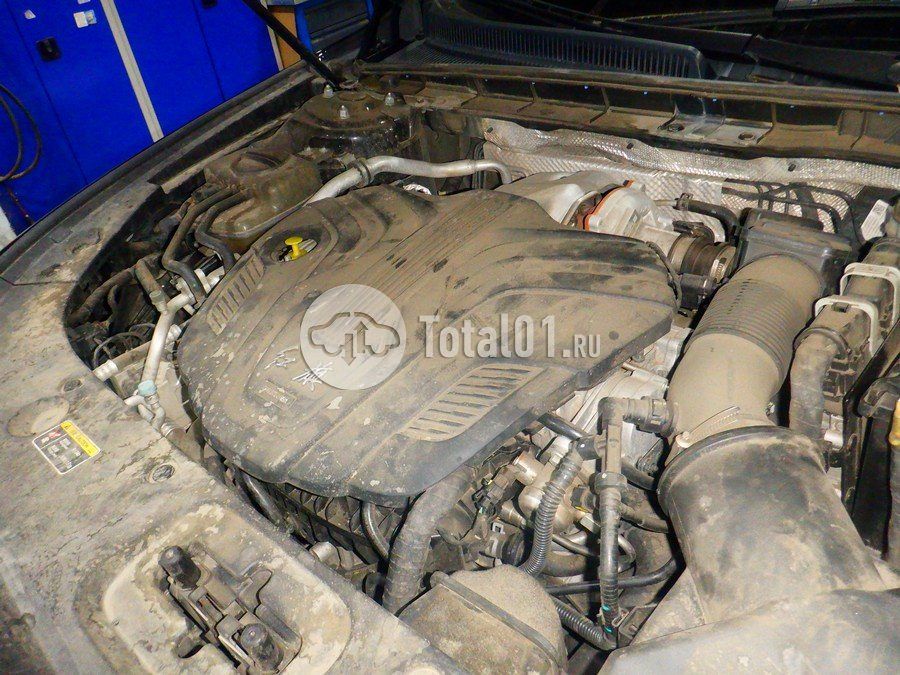 Фото Hongqi H5 190