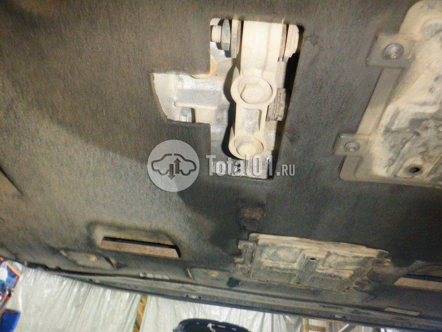 Фото Hongqi H5 238