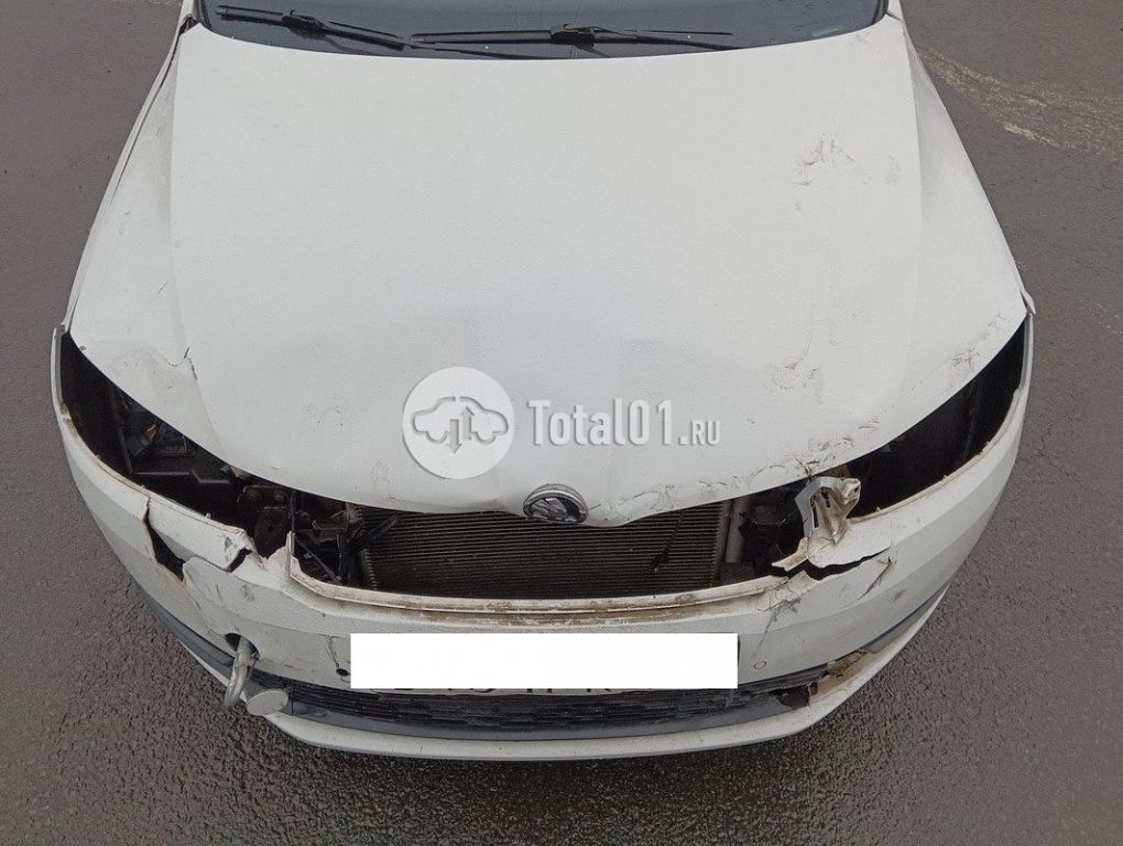 Фото Skoda Rapid 18