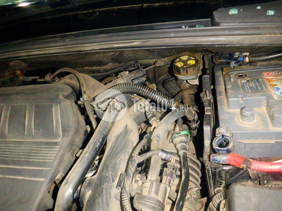 Фото Ford Focus 228