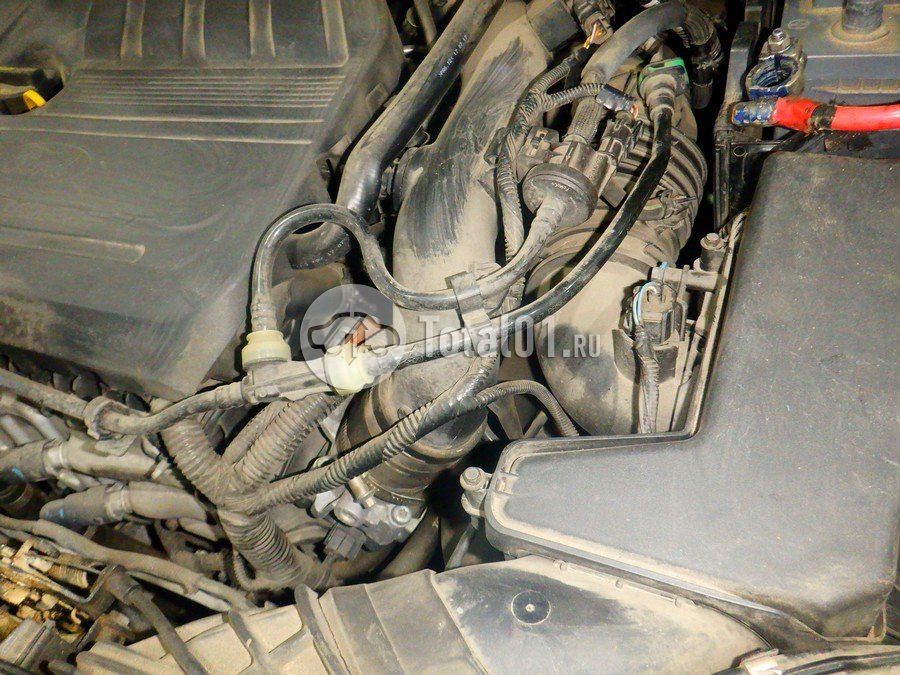 Фото Ford Focus 232