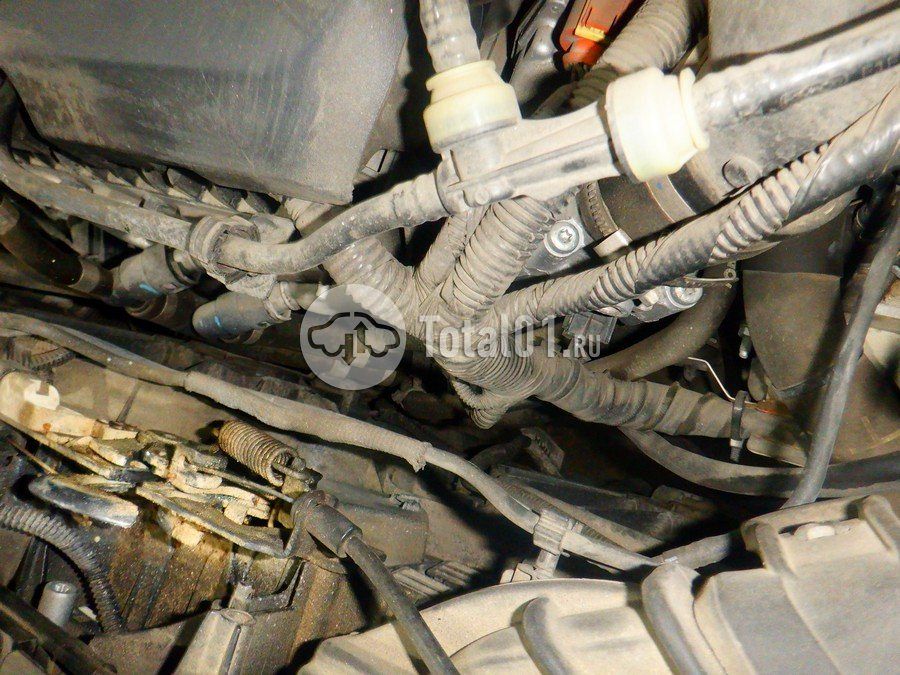 Фото Ford Focus 234